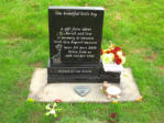 WC13 - All Polished Galaxy Black Square Top style Headstone, with Outlined Giraffe design.